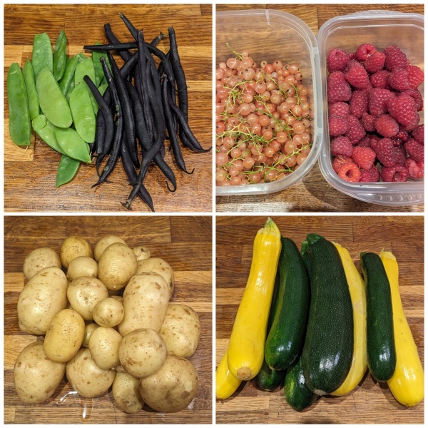 The Vegetable Patch Mark 2