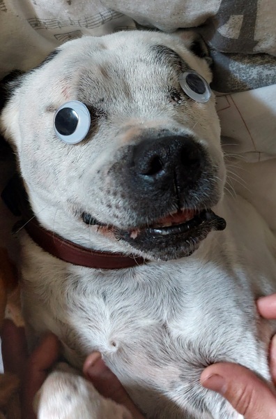 Pamela thread 5 - Bile Duct Cancer, chemo begins