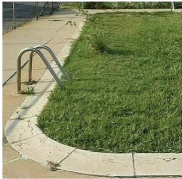 Vegan all inclusive with swimming pool