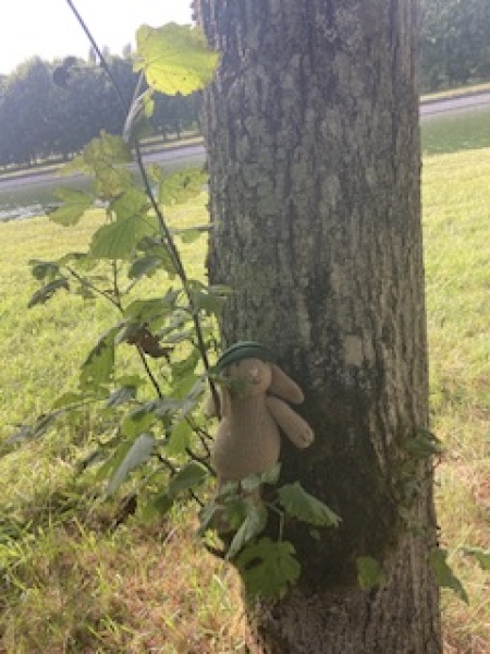 I'm starting saxenda this week. 