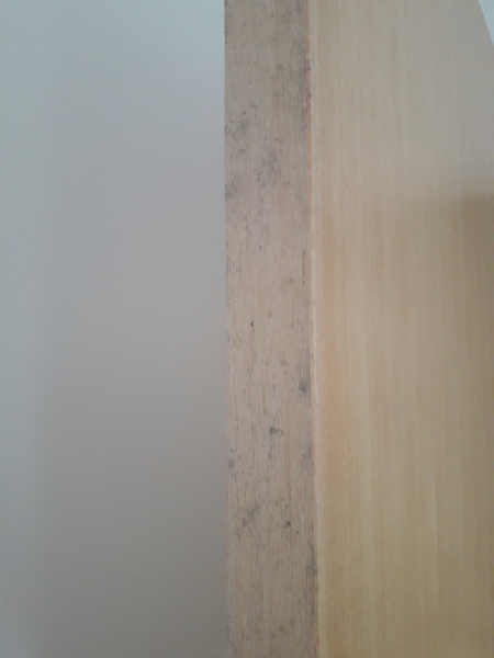 Best way to remove black mould from wooden doors