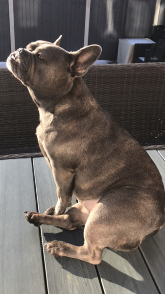 Pamela thread 3 - Bile Duct Cancer, off to London! 