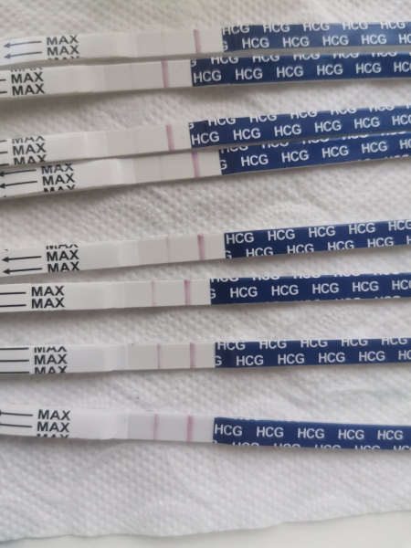 TTC May 2023 💖✨ previous MC March 2023