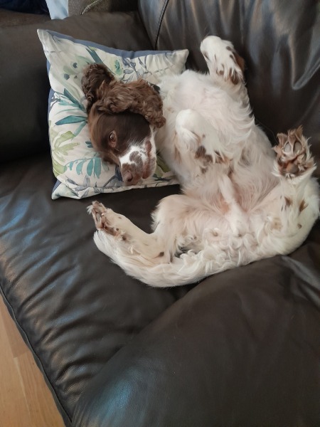 Pamela thread 3 - Bile Duct Cancer, off to London! 