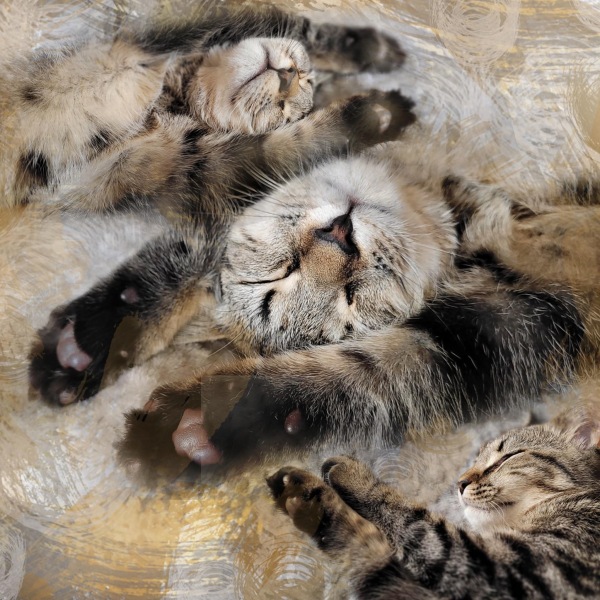 Pamela thread 5 - Bile Duct Cancer, chemo begins