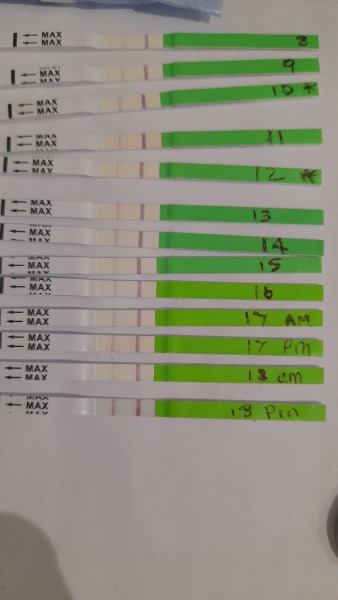 Help BFP to AF to BFP to BFN to positive opk and BFP 