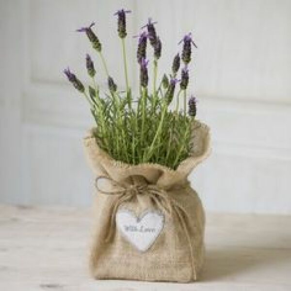 Table pieces on a budget ideas please 