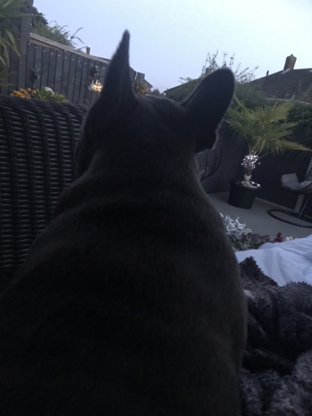 Pamela thread 3 - Bile Duct Cancer, off to London! 