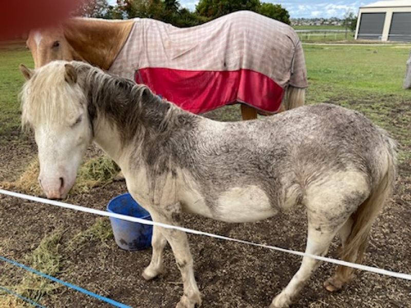 Pamela thread 5 - Bile Duct Cancer, chemo begins