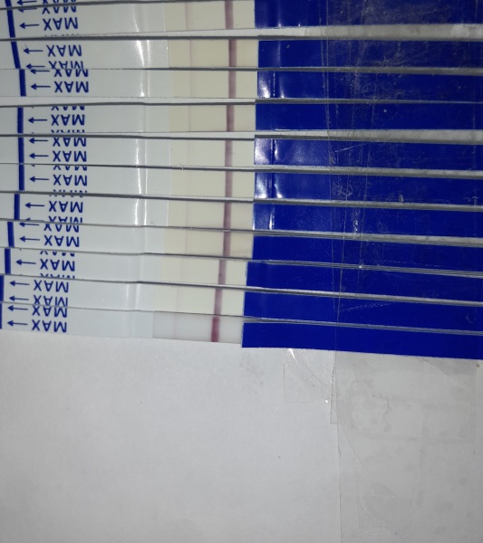 What IVF dose and how many eggs did you get?