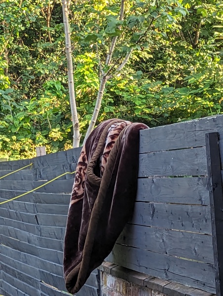 Destined for weird neighbours
