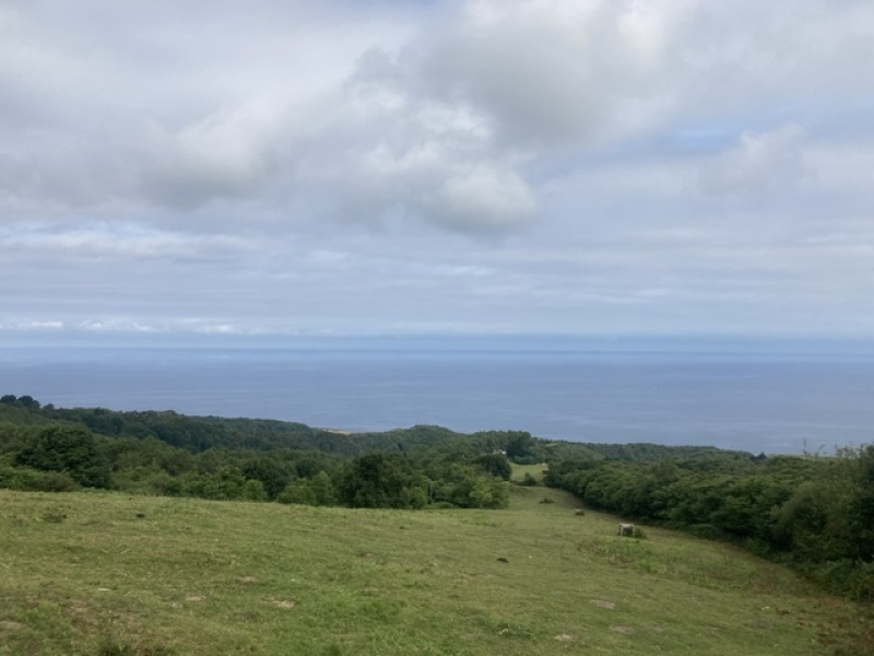 The Saxenda Sisterhood 