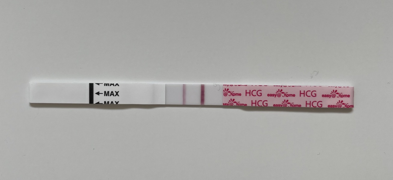 Due March 2023 (after miscarriage/s) 🌈 