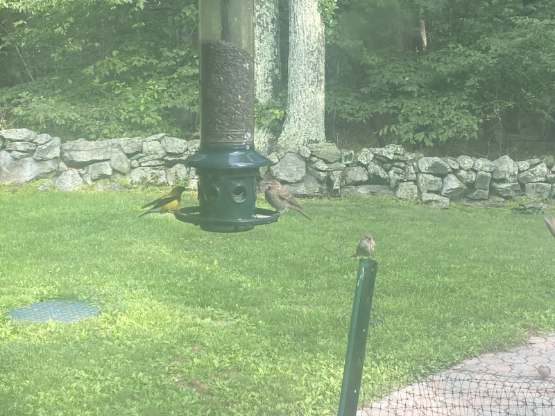 Come and tell me your dull and unexciting news 26: Calmly through the day 