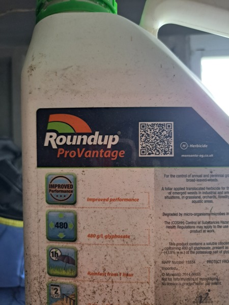 New house has Japanese knotweed 