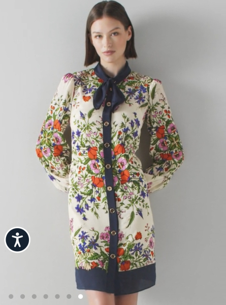 If money was no object, what dress would you buy?