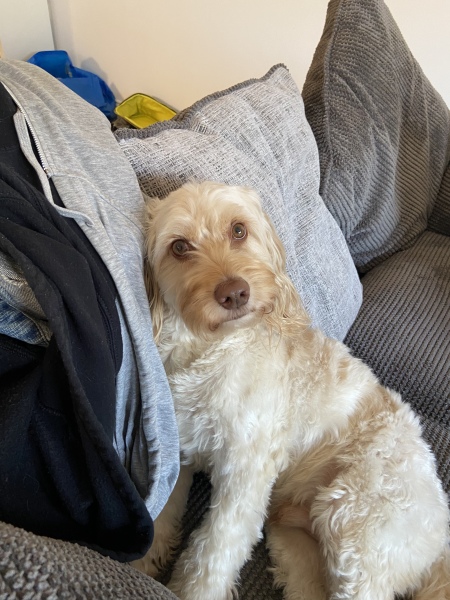 Pamela thread 3 - Bile Duct Cancer, off to London! 