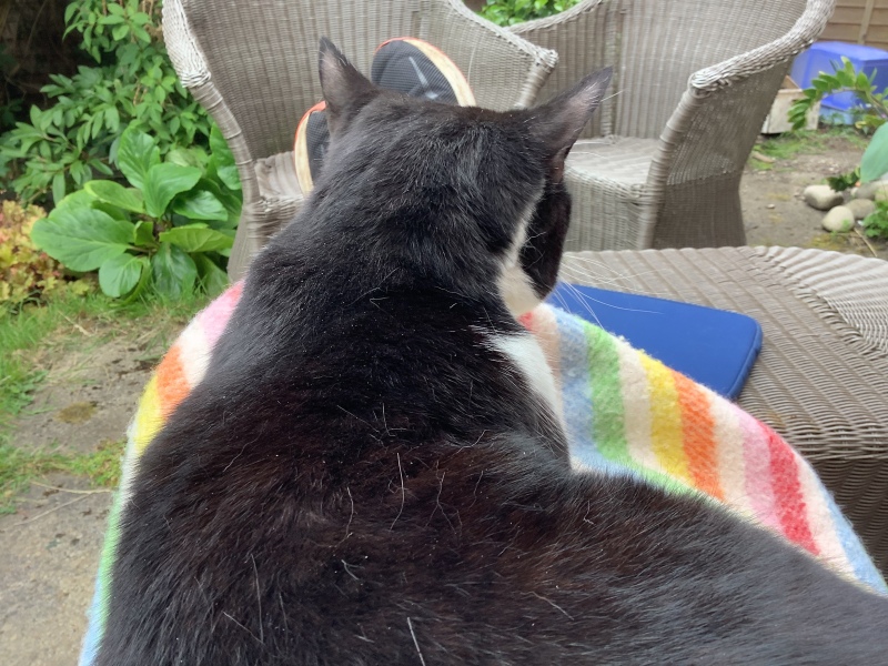 Thread 8 - TalkLair: “Brewing Russell's teapot” 