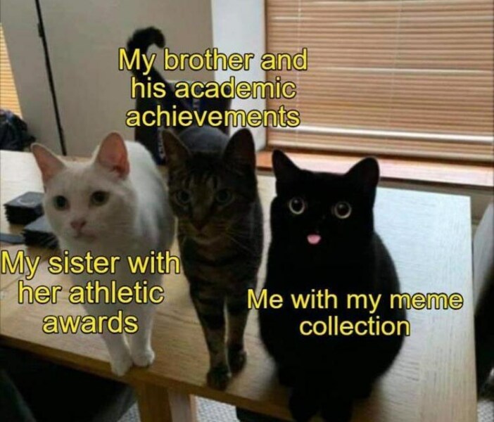 Are you your parent’s favourite child?