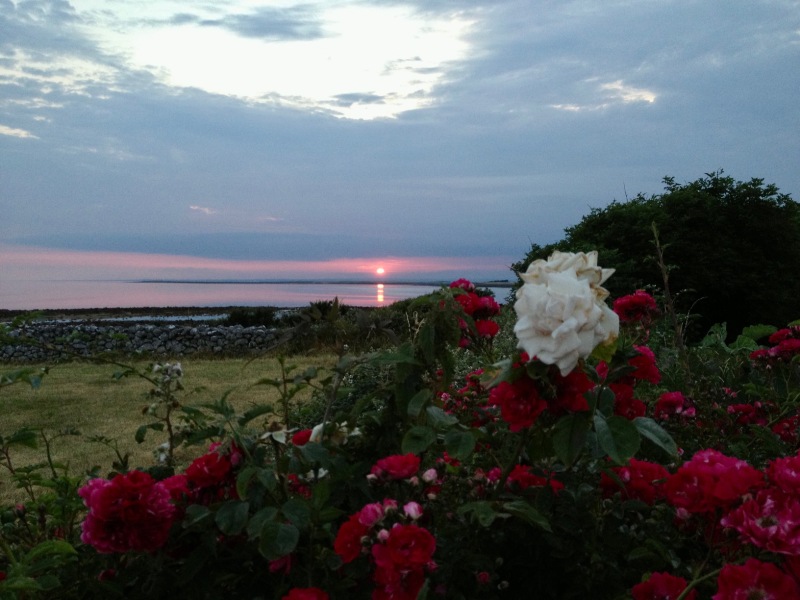 Pamela thread 5 - Bile Duct Cancer, chemo begins