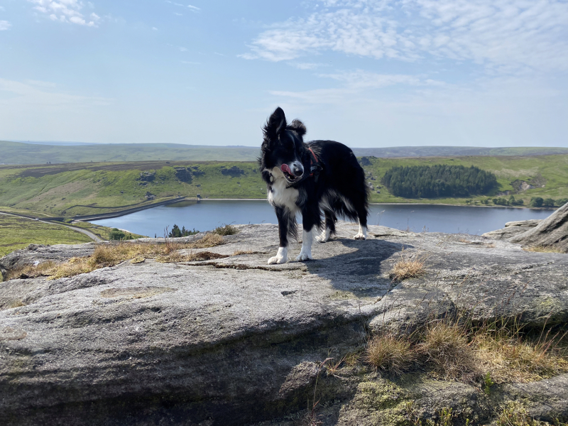 Pamela thread 5 - Bile Duct Cancer, chemo begins