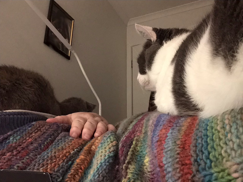 What are your big decisions today?