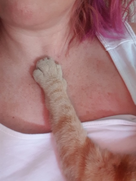 Neighbour leaving young cat outside at night in this weather. 