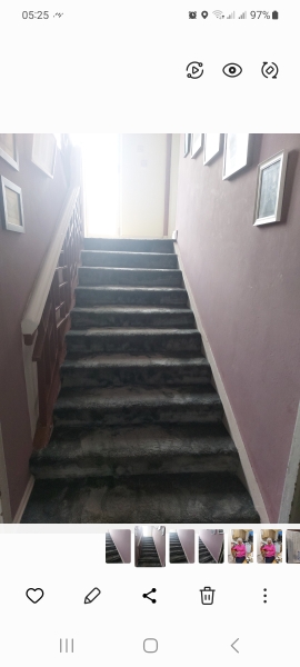 Do my walls and carpet clash?