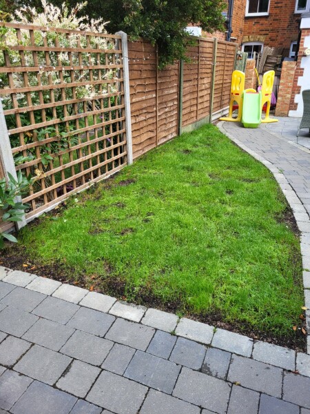 Artificial grass - help!