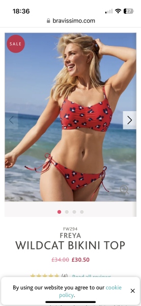 Anyone found a DD+ bikini top with decent coverage?