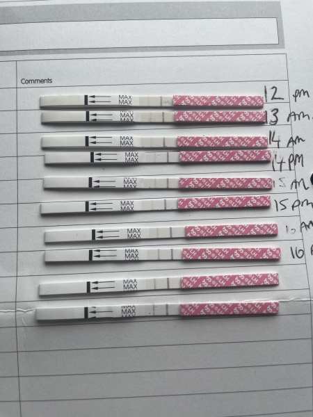 OPK first time, help! 