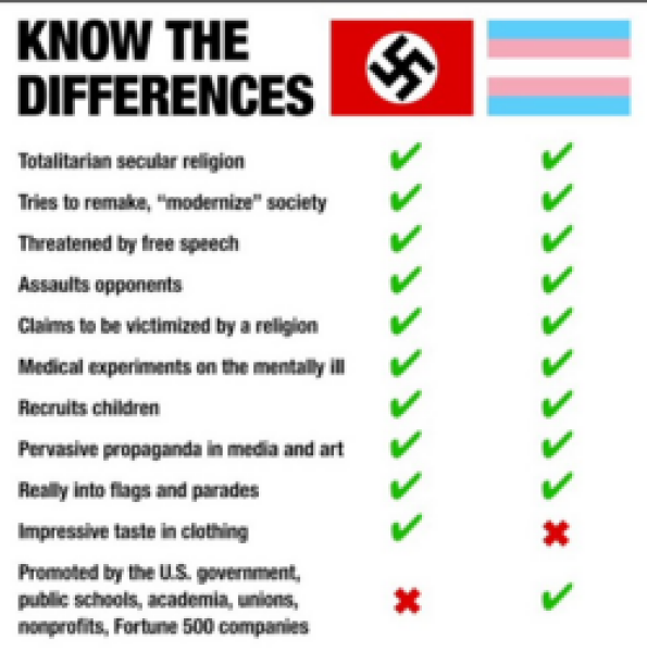 How can we prevent the trans issue from being a gift to the right wing?