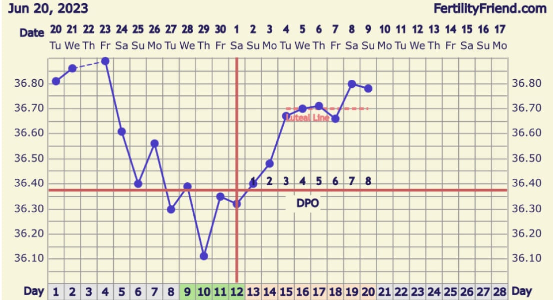 8dpo 