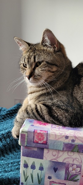 Pamela - Bile Duct Cancer, thread 4, London has given me a chance! 