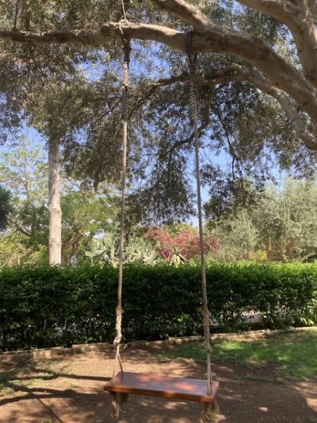 The Saxenda Sisterhood 