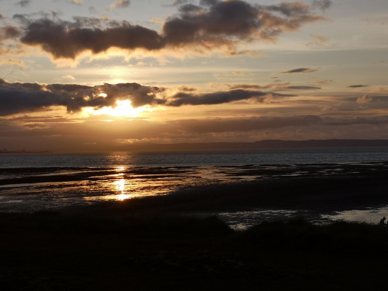 Summer 23 Boot Camp, Week 4: we (might) enter the doldrums