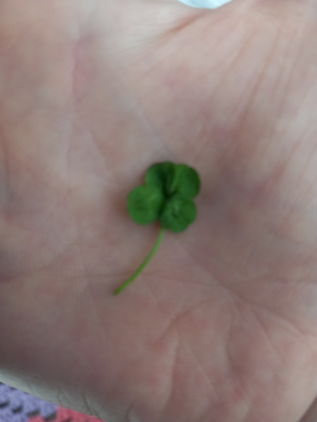 Pamela - Bile Duct Cancer, thread 4, London has given me a chance! 