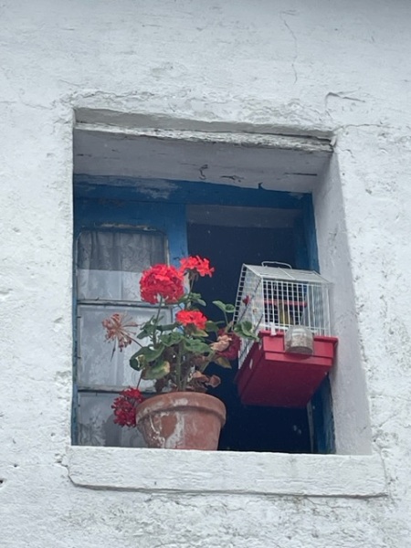 The Saxenda Sisterhood 