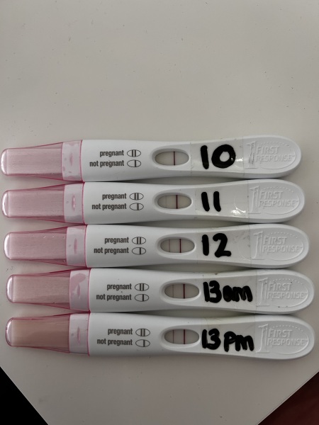 8 DPO - BFN :( TWW buddies please!