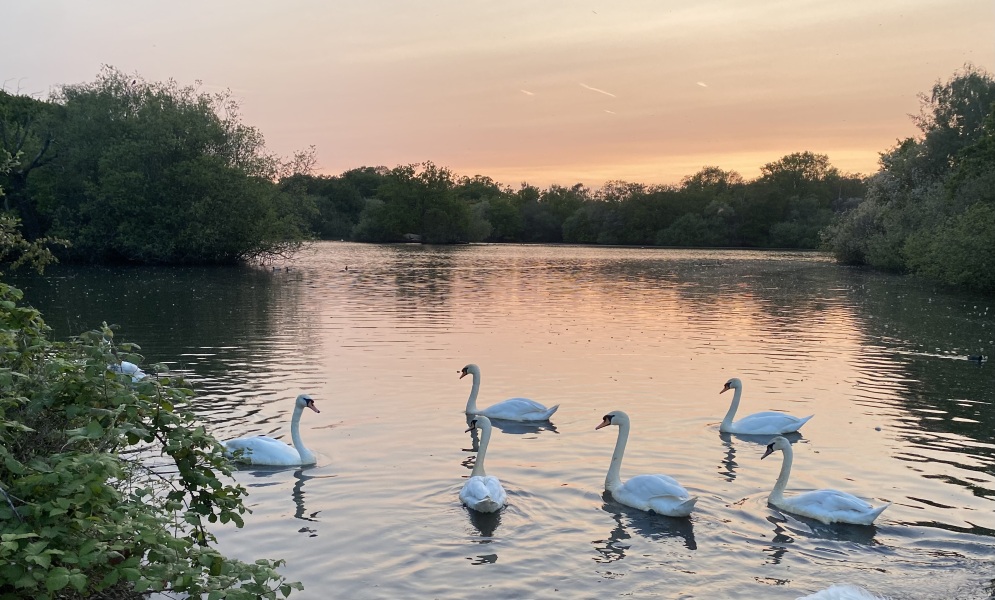 Pamela thread 5 - Bile Duct Cancer, chemo begins