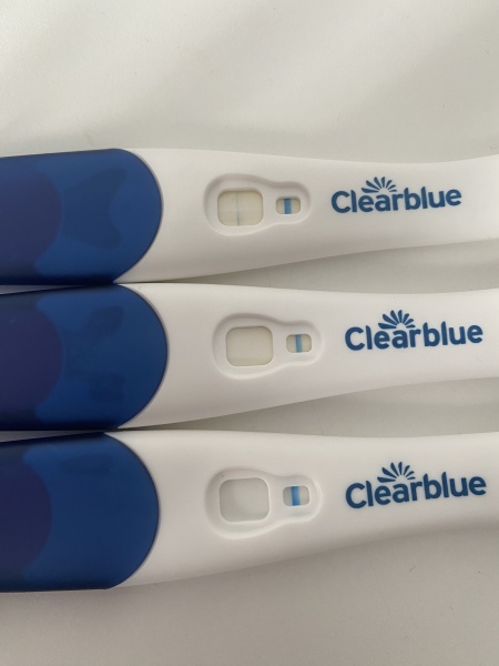 Clear blue test. Evap line or positive