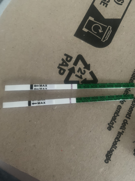 Implantation Bleeding/Positive and Negative tests