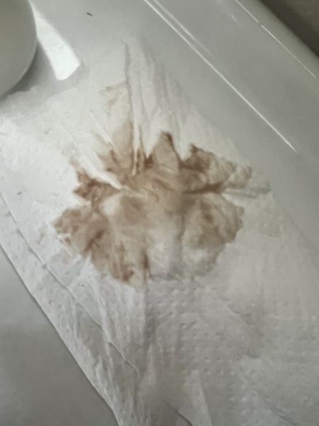 Light brown bleeding 