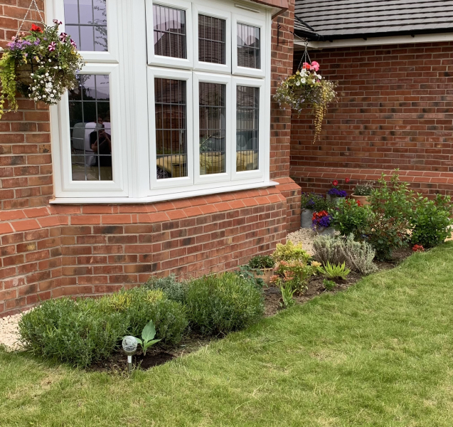 What sort of vibe my front garden has?