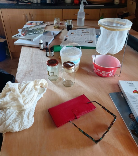 Any Witches Here?- Part 18