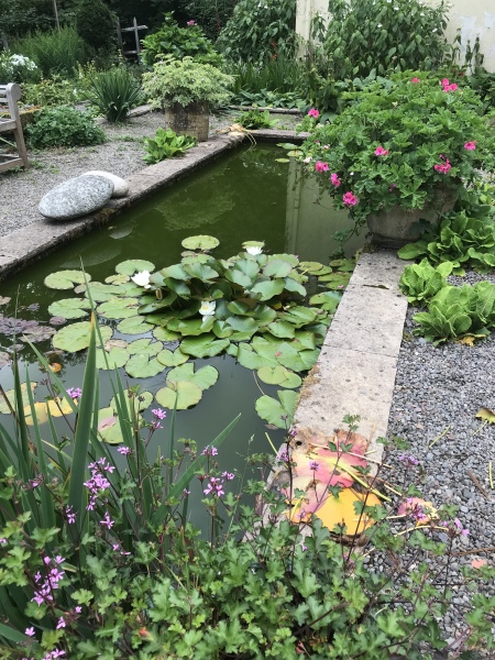 What have you done in the garden today? Part 2