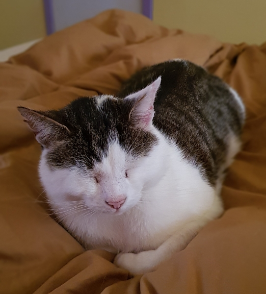 Why are you awake?