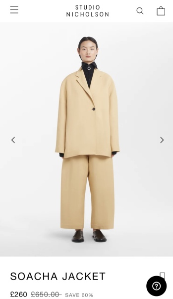 Please help me look professional and stylish