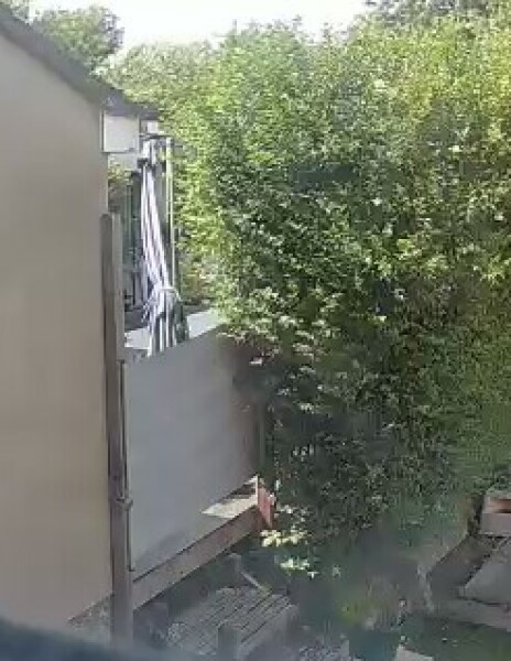 Unreasonable Neighbours/Pain