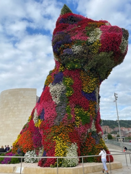 The Saxenda Sisterhood 